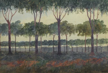 La arboleda